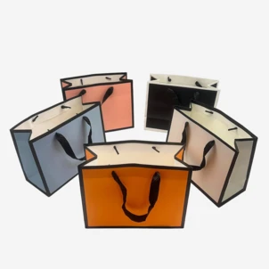 שקית קרטון עידן 18X23+10